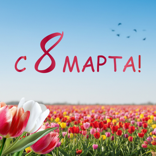 ��������� �������� Asia MH �� ���� ���� ����������� ����� ������ ������ � ����������� ���������� � � ������������� ������� ����!